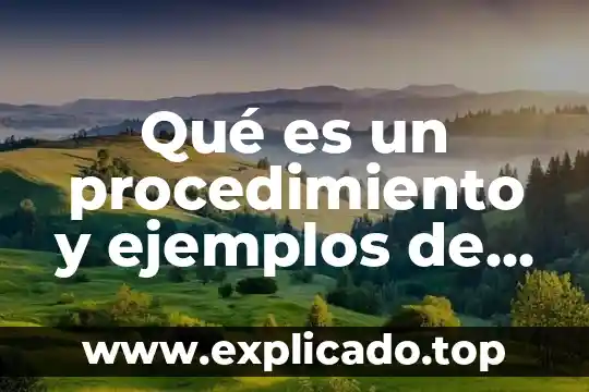Que es oficina registral 5 Qué es un procedimiento y ejemplos de procedimientos de oficina