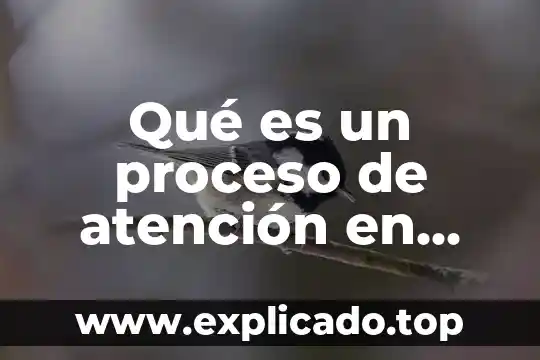 Qué es un proceso de atención en enfermeria
