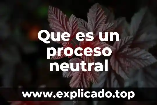 Que es un proceso y servicio de windows 6 Que es un proceso neutral