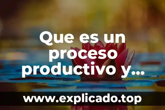 Que es el bono productivo 5 Que es un proceso productivo y de que elementos consta