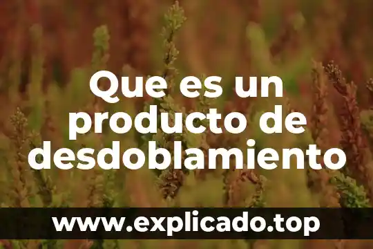 Qué es matriz insumo producto en macroeconomía 4 Que es un producto de desdoblamiento