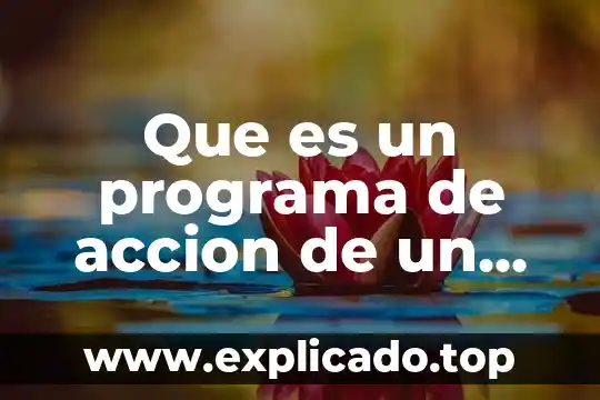 Que es un emprendedor político 7 Que es un programa de accion de un partido politico