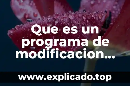 Modificacion de la relacion colectiva de trabajo que es 3 Que es un programa de modificacion de conducta