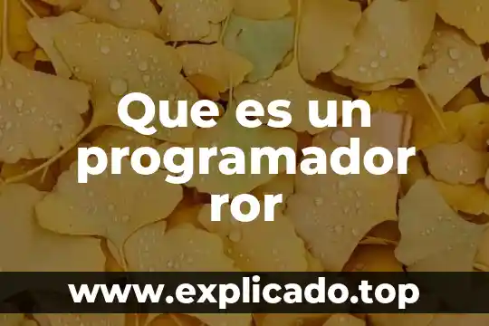Qué es un programador de móvil 8 Que es un programador ror