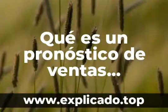 Que es un pronostico de nivel constante 3 Qué es un pronóstico de ventas ventajas