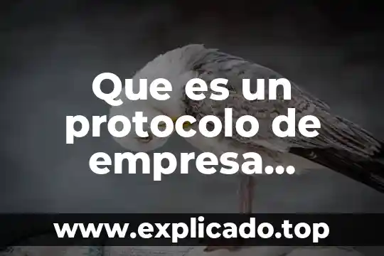 Que es un protocolo industrial 7 Que es un protocolo de empresa familiar