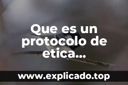 Que es un protocolo de etica ambiental