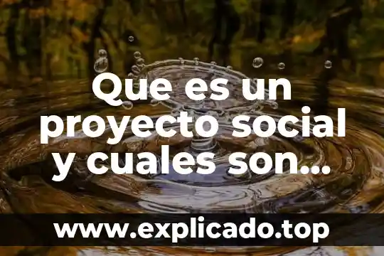 Qué es el derecho y cuáles son sus ramas 3 Que es un proyecto social y cuales son sus caracteristicas