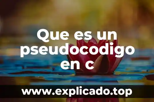 Que es la funcion floor en c++ 3 Que es un pseudocodigo en c