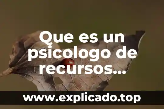 Que es el sistema universal de os derechos humanos 8 Que es un psicologo de recursos humanos