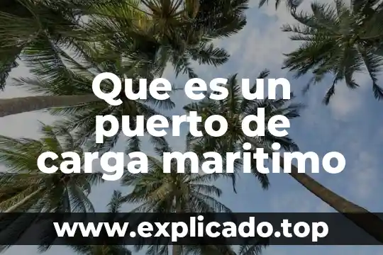 Puerto paralelo que es y para que sirve 8 Que es un puerto de carga maritimo