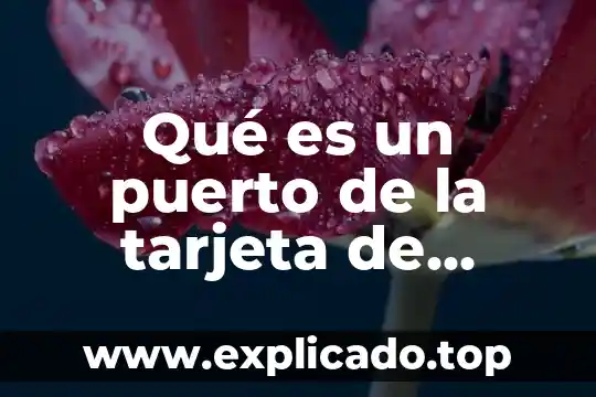 Qué es la salida de audio en pc 6 Qué es un puerto de la tarjeta de audio