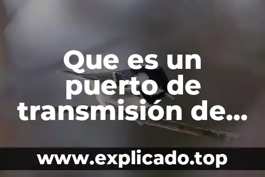 Puerto paralelo que es y para que sirve 6 Que es un puerto de transmisión de datos