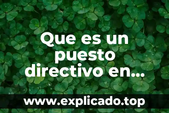 Que es el analisis del puesto 8 Que es un puesto directivo en administracion de personal