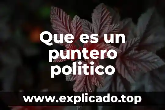 Que es un emprendedor político 6 Que es un puntero politico