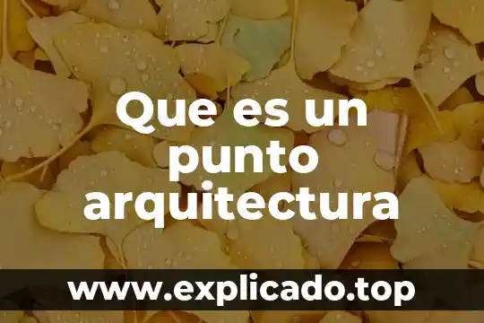 Proyecto web que es 4 Que es un punto arquitectura