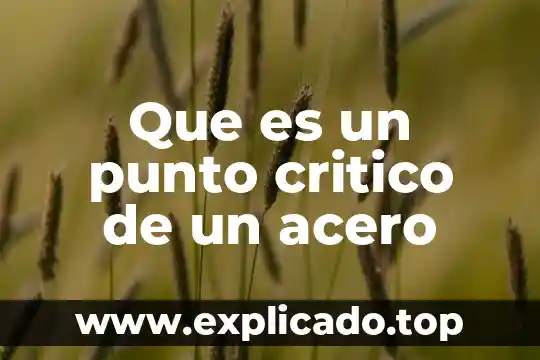 Que es la investigacion proyectiva en pensamiento critico 7 Que es un punto critico de un acero