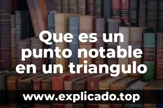 Que es la hybris del punto cero 6 Que es un punto notable en un triangulo