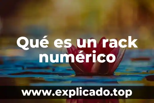 Que es una clasificacion de sistema numerico 7 Qué es un rack numérico