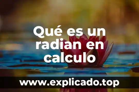 Qué es más lato gerencia o subdirección 3 Qué es un radian en calculo