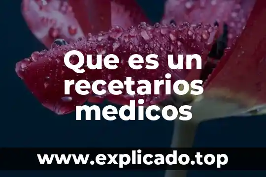 En términos médicos qué es vehículo 7 Que es un recetarios medicos