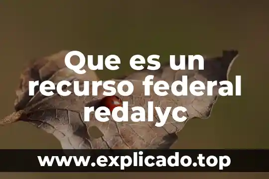 Que es investigacion correlacional redalyc 4 Que es un recurso federal redalyc