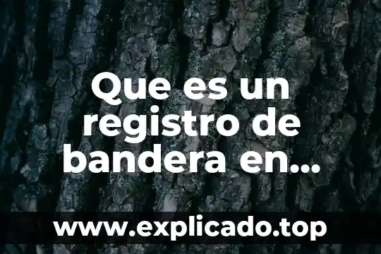 Que es la bandera de mexico y significado de colores 6 Que es un registro de bandera en ensamblador