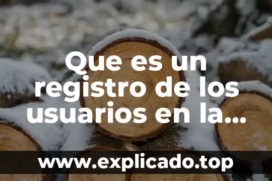 Qué es más lato gerencia o subdirección 4 Que es un registro de los usuarios en la red