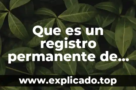 Que es el establecimiento permanente en mexico 6 Que es un registro permanente de usuario cfe