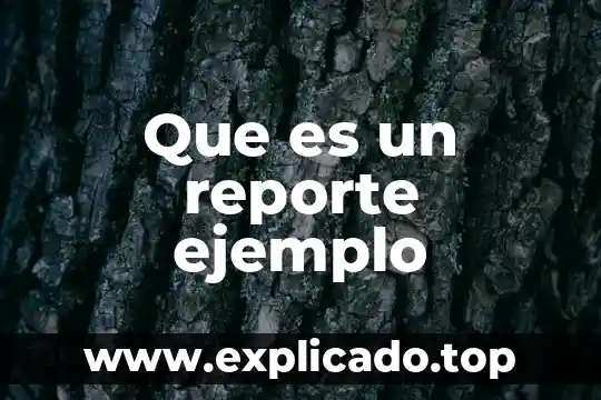 Qué es más lato gerencia o subdirección 8 Que es un reporte ejemplo