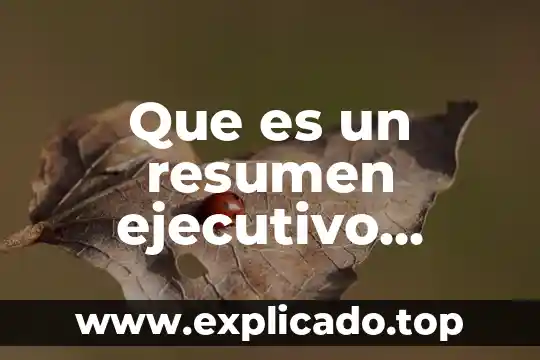 Que es ejecutivo de marketing 7 Que es un resumen ejecutivo financiero