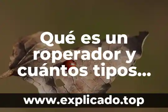 Qué es un roperador y cuántos tipos hay