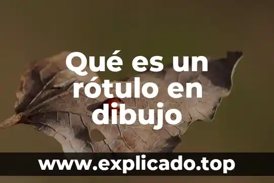 Que es una escala en un dibujo 3 Qué es un rótulo en dibujo