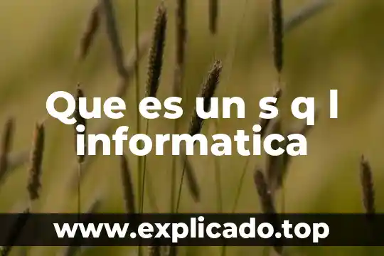 Que es that s en ingles 8 Que es un s q l informatica