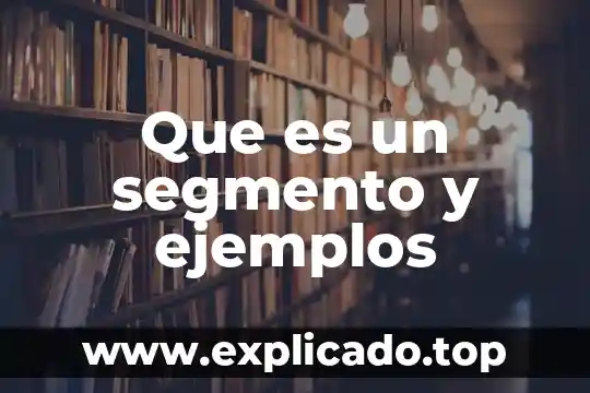 Qué es un organismo unicelular y pluricelular ejemplos 4 Que es un segmento y ejemplos