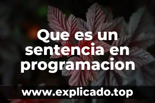 Que es la sentencia para efectos en amparo 3 Que es un sentencia en programacion