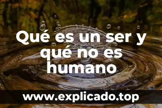 Que es apertura en desarrollo humano 4 Qué es un ser y qué no es humano