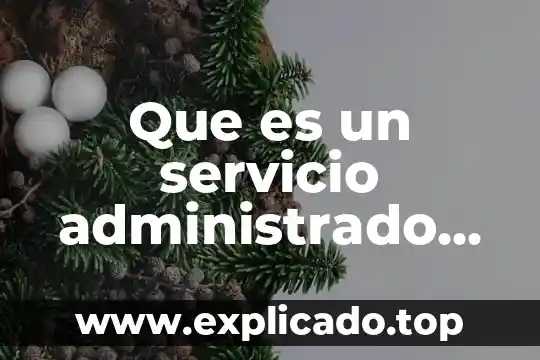 Qué es ingeniería sistema de computo 6 Que es un servicio administrado de computo