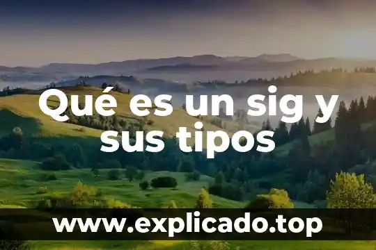 Qué es un sig y sus tipos