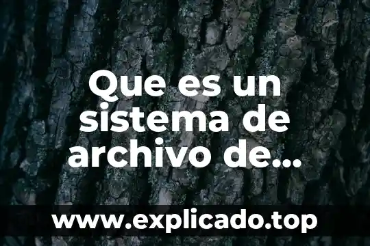 Que es un archivo de internet 8 Que es un sistema de archivo de discooperativo