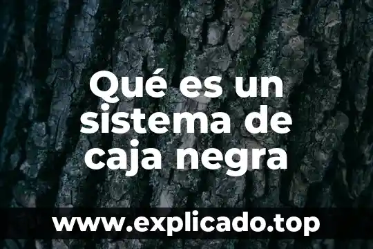 Que es soñar con un hombre de piel negra 7 Qué es un sistema de caja negra