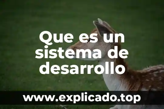 Que es la funcion full hd 3 Que es un sistema de desarrollo