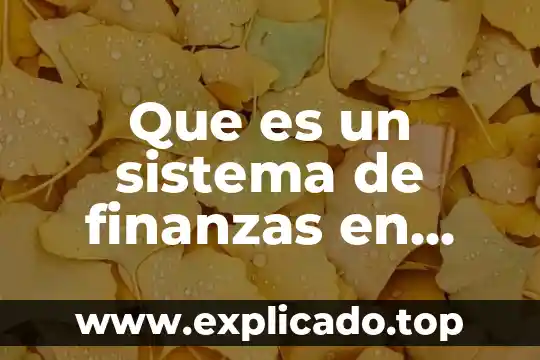 Que es alcance en unas politicas de seguridad informatica 4 Que es un sistema de finanzas en informatica