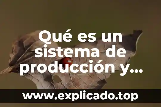 Que es una ecuación de estado en un sistema 5 Qué es un sistema de producción y operaciones