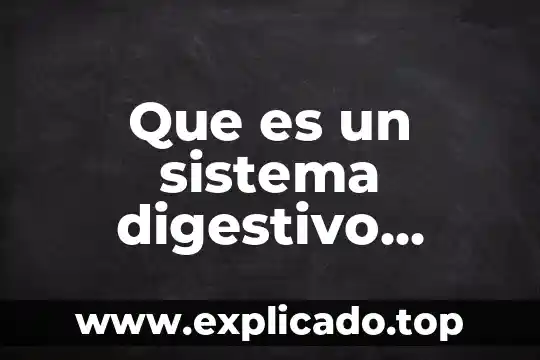 En conclusion para que es el sistema digestivo 5 Que es un sistema digestivo simple y completo