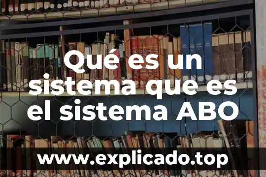 Que es una ecuación de estado en un sistema 3 Qué es un sistema que es el sistema ABO