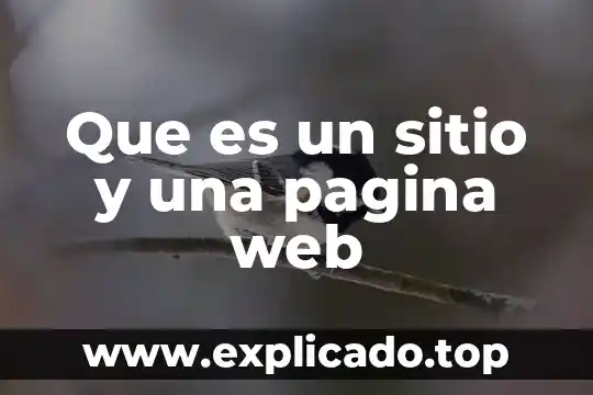 Bando de ancha en pagina web que es 8 Que es un sitio y una pagina web