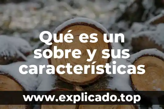 Que es la ideologia y sus caracteristicas 7 Qué es un sobre y sus características
