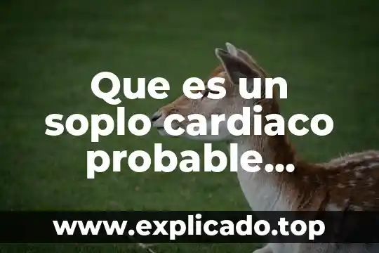 Qué es más probable que se caiga un avión 5 Que es un soplo cardiaco probable funcional
