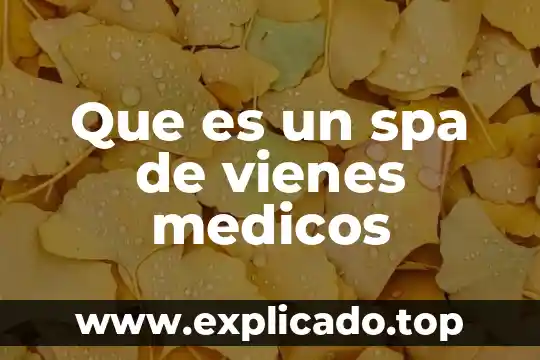 En términos médicos qué es vehículo 4 Que es un spa de vienes medicos